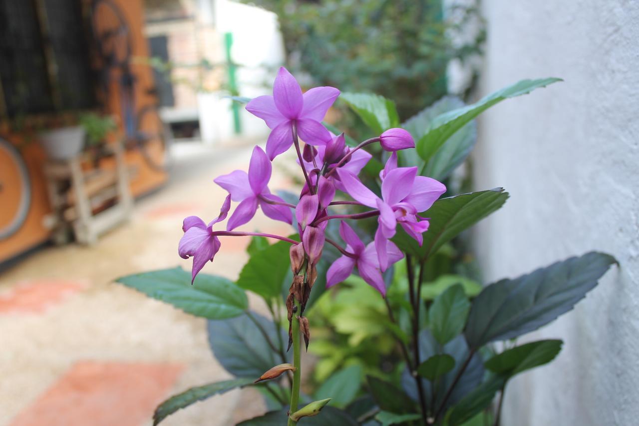 莱蒂西亚Casa Nora & Alejo公寓 外观 照片